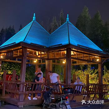 纷纷扬扬飘落来的碎片华径公园夜景迷人……今日与老友一