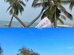 -亚龙湾热带天堂森林公园