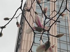 -黄兴公园