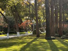 -浙江西子宾馆·瑶园咖啡厅