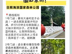 -日照海滨国家森林公园