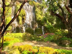-Chom Cafe and Restaurant