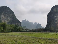 -明仕田园