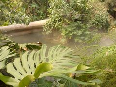 -南通洲际绿博园