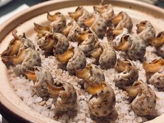 -侨美食家·40年地道粤菜(珠江新城店)