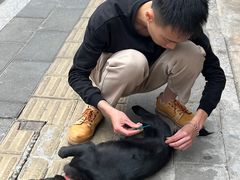 -福州肆爪动物医院
