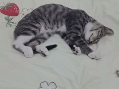 -宠颐生宠物医院·骨外科·犬猫全科诊疗中心(池州店)