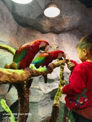 -Zoolung Zoolung动物主题公园(海信广场店)