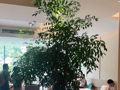 -Peet's 皮爷咖啡(海雅缤纷城店)