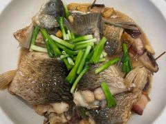 -龙悦湾酒家·八阵鱼生·渔人码头店