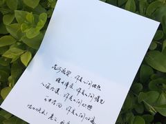 -F.Story 花和故事(新天地店)