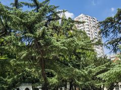 -上海安亭别墅花园酒店