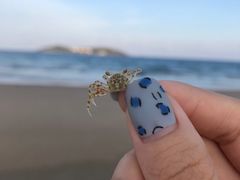 -三亚亚龙湾五号度假别墅酒店