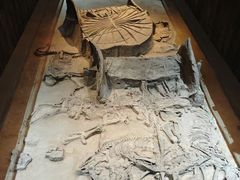 -北京大葆台遗址博物馆