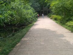 -镇江市南山风景名胜区竹林景区