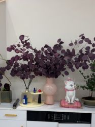 -WENDY·温迪皮肤管理