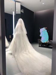 -Vera Wang婚纱礼服旗舰店