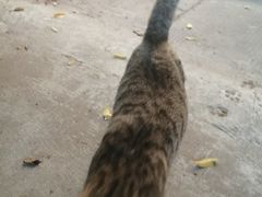 -小象钓虾·营地烧烤(洛溪店)