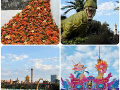 -青果巷历史文化街区