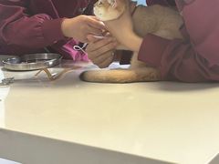 -瑞派福兴宠物医院犬猫全科·骨科·中西医结合(河东店)