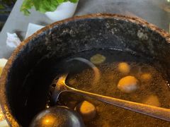 -墨脱石锅椰子鸡•香草鸭•东山羊(大东海店)