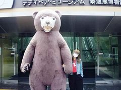 -济州岛泰迪熊博物馆