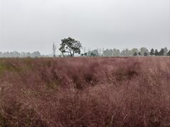 -汉长安城未央宫国家考古遗址公园