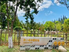 -上海长兴岛郊野公园