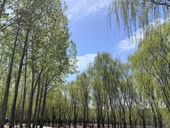-东郊湿地公园