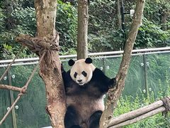 -御轩足道·SPA·养生·保健(瑞金北路店)