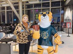 -老虎堂TIGER SUGAR
