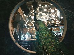 景观位-雀蓝川菜(奥体广场店)