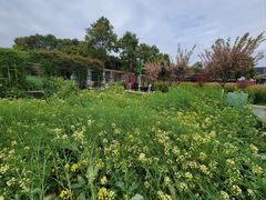 -洪湖家庭农场·团建·露营·会议