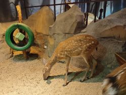 -酷嗒动物文化乐园(cutezoo西溪乐天城店)