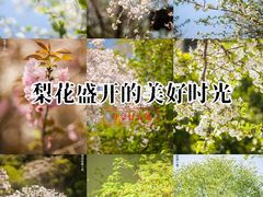 -湘湖金融镇