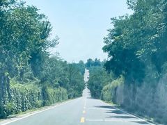 -野鸭湖国家湿地公园