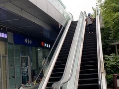 -川渔居—鱼火锅(八方汇店)