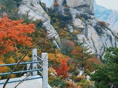 -崂山仰口游览区