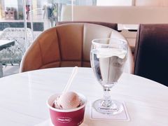 北海道红豆麻糬冰淇淋-哈根达斯(天河城店)