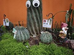 -正佳雨林生态植物园