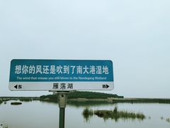 -南大港湿地风景区