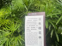-柳侯公园