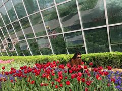 -石家庄市植物园