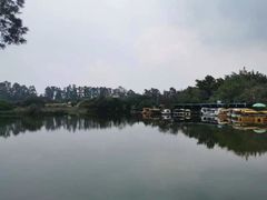 -南沙蒲洲花园
