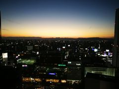 -矢场猪(名古屋站三井楼北馆店)