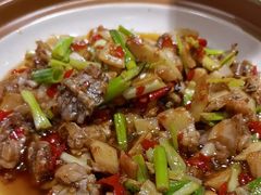 -新概念来凤鱼(璧山店)