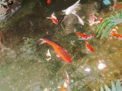-聚缘堂·海鲜私房菜(松岭路店)