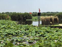 -洪湖生态旅游区