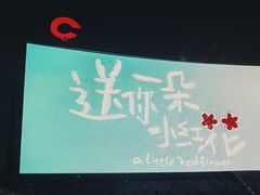 -枫花园汽车电影院(朝阳公园店)