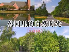 -贡湖湾湿地公园
